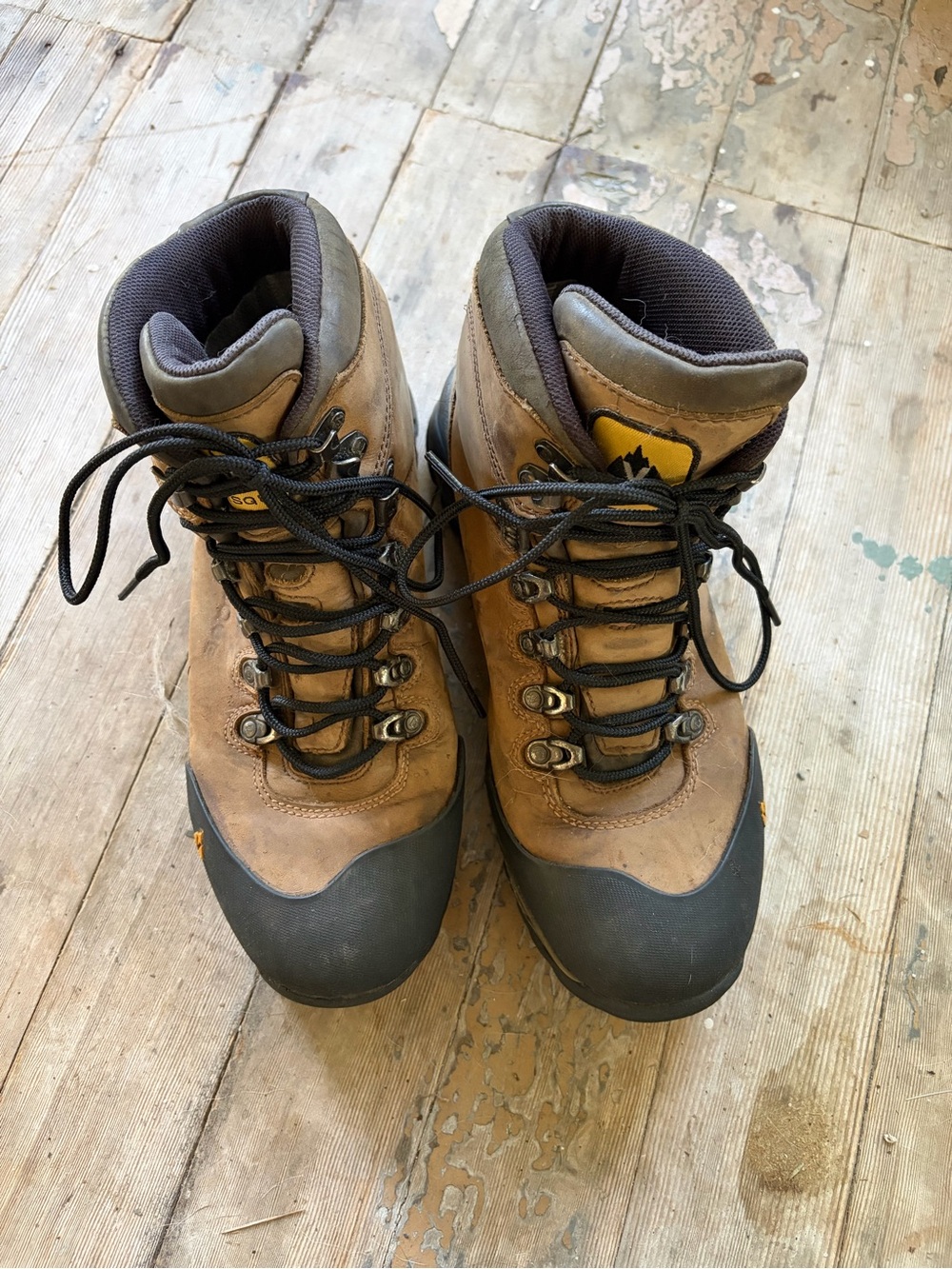Men's 10 Vasque GTX hiking boot